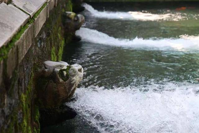 黑虎泉喷得“兽头”都不够用了！济南群泉竞涌<strong></p>
<p>金安国纪股票</strong>，几十年一见