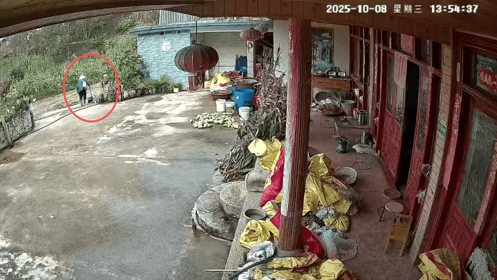 93岁老人进山失联<strong></p>
<p>金安国纪股票</strong>,两天后发现他倒挂在树杈上苦撑……