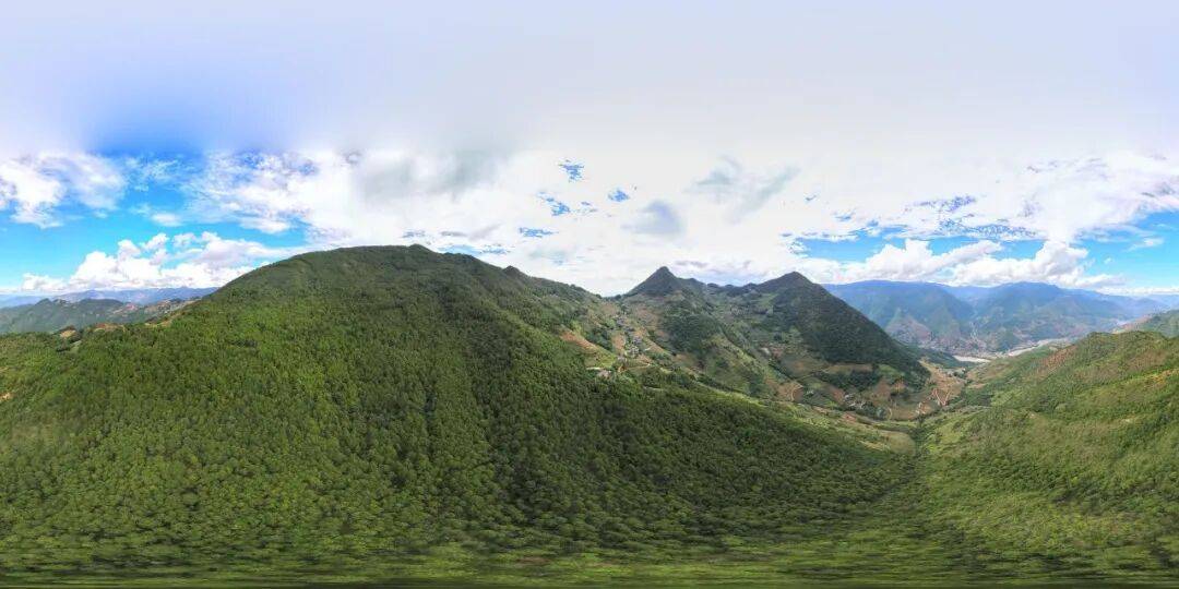 93岁老人进山失联<strong></p>
<p>金安国纪股票</strong>,两天后发现他倒挂在树杈上苦撑……