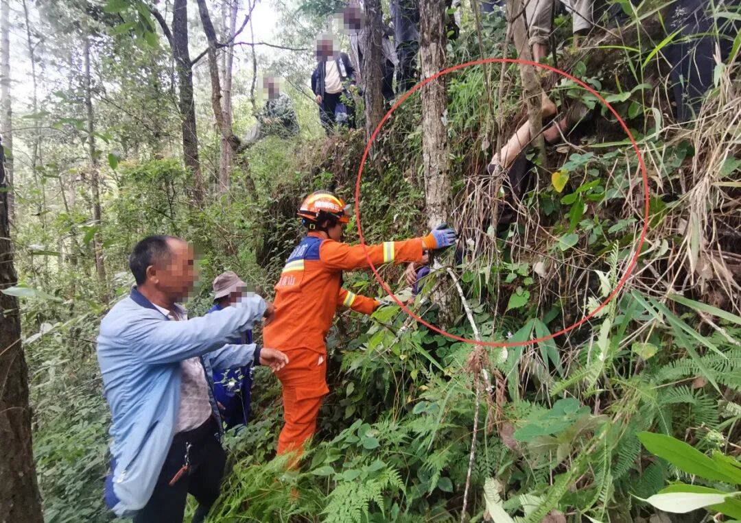 93岁老人进山失联<strong></p>
<p>金安国纪股票</strong>,两天后发现他倒挂在树杈上苦撑……