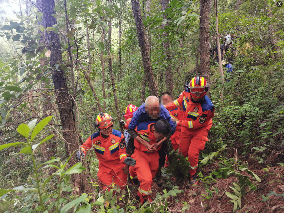 93岁老人进山失联<strong></p>
<p>金安国纪股票</strong>,两天后发现他倒挂在树杈上苦撑……