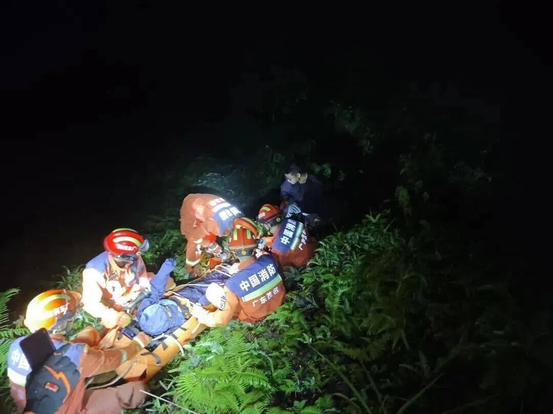 93岁老人进山失联<strong></p>
<p>金安国纪股票</strong>,两天后发现他倒挂在树杈上苦撑……