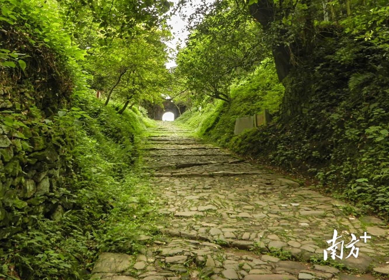 张九龄之妻墓现身西安<strong></p>
<p>金安国纪股票</strong>,“岭南第一人”在岭南还留下这些踪迹