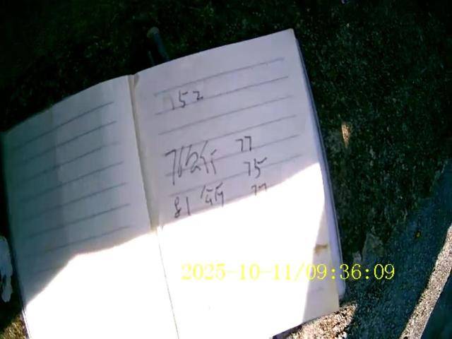 100斤玉米上秤秒变60斤?贵州一村民遭“鬼秤”骗粮!民警出手<strong></p>
<p>华友钴业股票</strong>,5人被拘