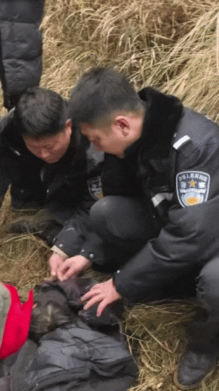 辽宁4岁女童称睡醒后自行下车<strong></p>
<p>赛为智能股票</strong>，迷路后睡在草地，期间无人接触；其母发声