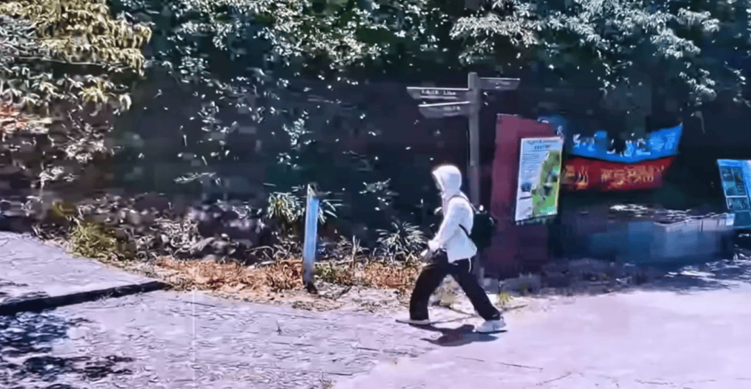 深圳登山失联约70天<strong></p>
<p>网易股票</strong>,27岁男子遗体疑被找到已遇难,其位于一块大石头下,家属回应