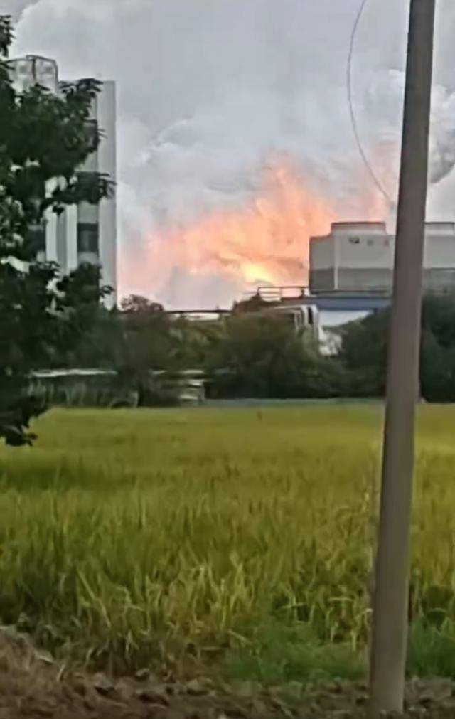 澄星股份工厂发生火灾？附近酒店：已灭火<strong></p>
<p>网易股票</strong>，有刺激性气味，建议不开窗