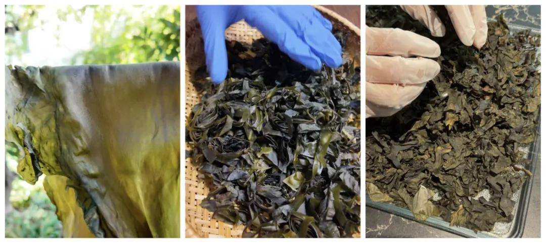 被万亿巨头忽略的赛道<strong></p>
<p>网易股票</strong>，却受年轻人追捧，有公司年销70亿