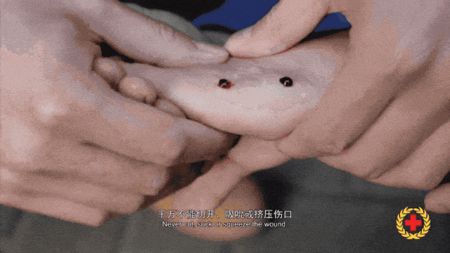 女子半夜上厕所<strong></p>
<p>贝因美股票</strong>,马桶里突然窜出一条蛇!