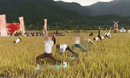 媒体:稻田开镰仪式<strong></p>
<p>贝因美股票</strong>,表演哪门子瑜伽?