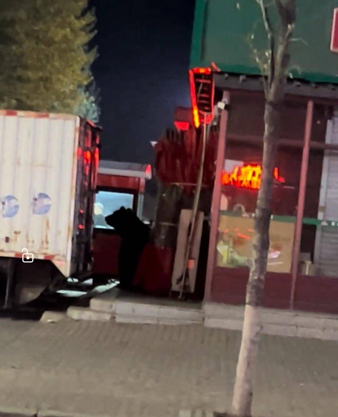 大黑熊夜里独闯黑龙江一县城闹市区<strong></p>
<p>海澜之家股票</strong>,警方连开10多枪击毙,回应为何没用麻醉枪