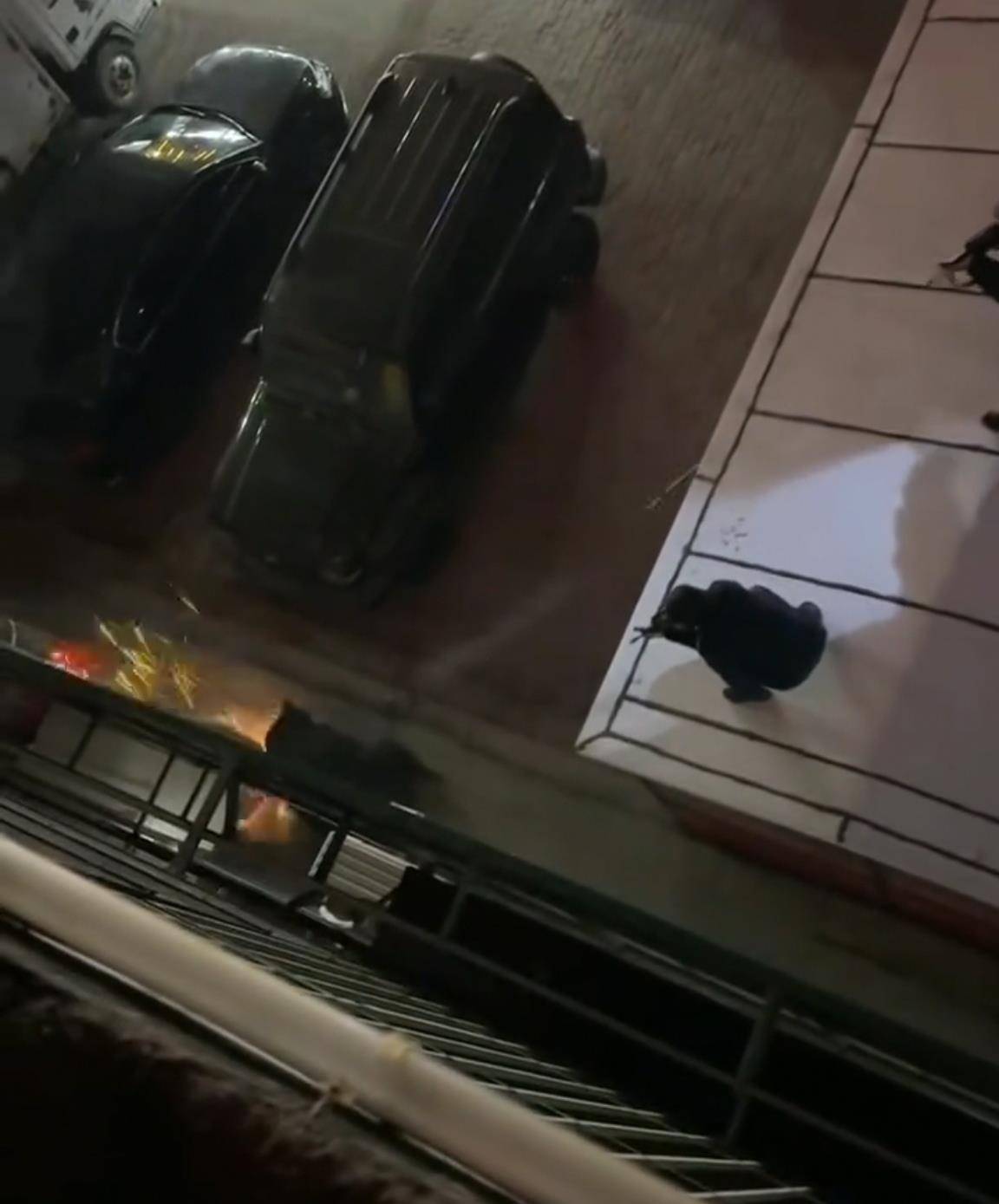 大黑熊夜里独闯黑龙江一县城闹市区<strong></p>
<p>海澜之家股票</strong>,警方连开10多枪击毙,回应为何没用麻醉枪