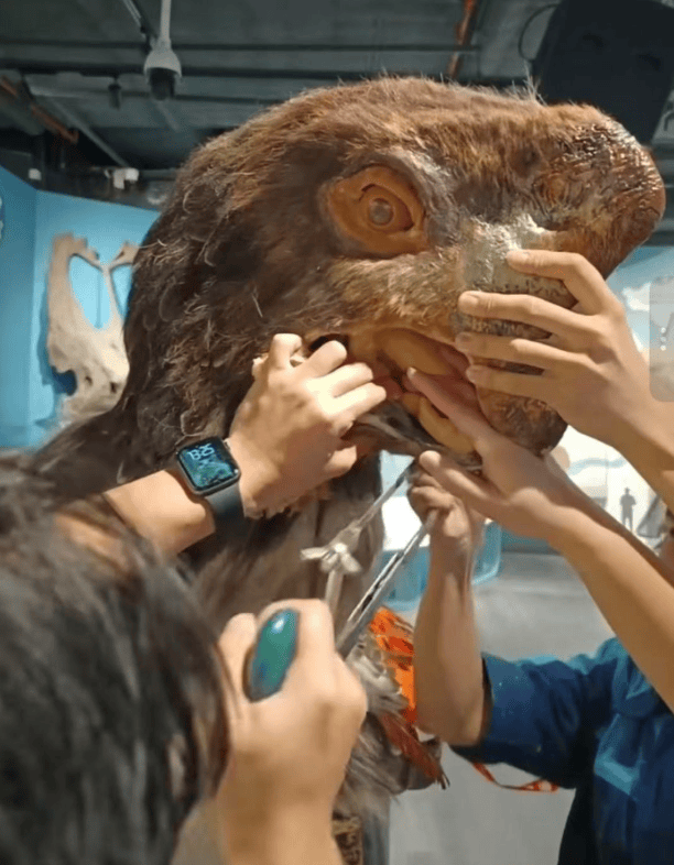 被卡住了<strong></p>
<p>昆仑万维股票</strong>!广州一游客把手伸进恐龙模型嘴中