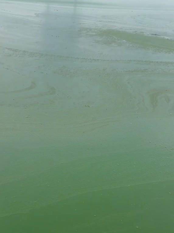 昆明滇池部分水域变绿有异味<strong></p>
<p>昆仑万维股票</strong>，管理局：特定气候下出现轻度水华，已处理控制