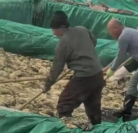 男子在酸菜池内抽烟吐痰<strong></p>
<p>延华智能股票</strong>,官方通报!