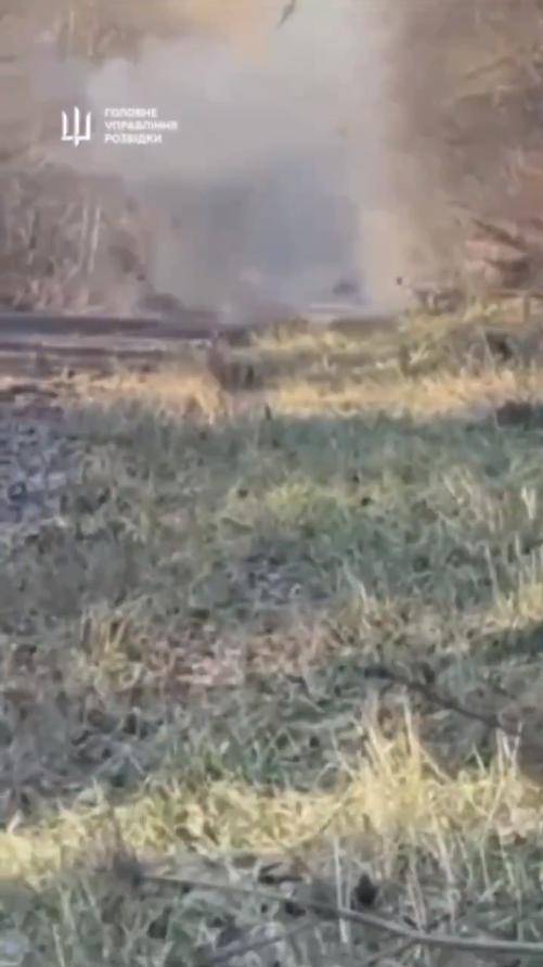 炸榛树导弹<strong></p>
<p>生益科技股票</strong>，炸莫斯科，炸俄军上校，乌克兰豁出去，不怕被核打击