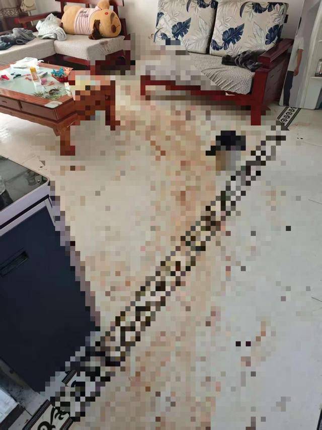 “女子出租屋遭男友持刀杀害”案明日开庭<strong></p>
<p>中国能建股票</strong>,家属发声:凶手从未道歉,我们不会谅解