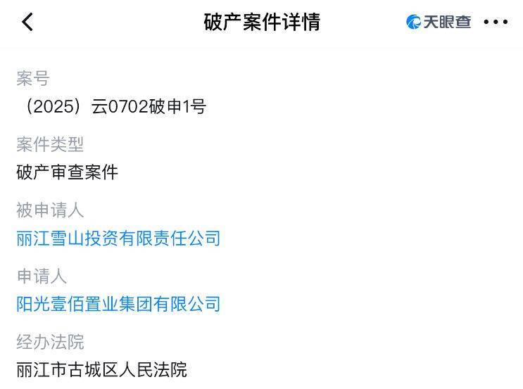 李亚鹏开发的雪山艺术小镇被申请破产<strong></p>
<p>美国股票</strong>，原股东股权价值将归零？