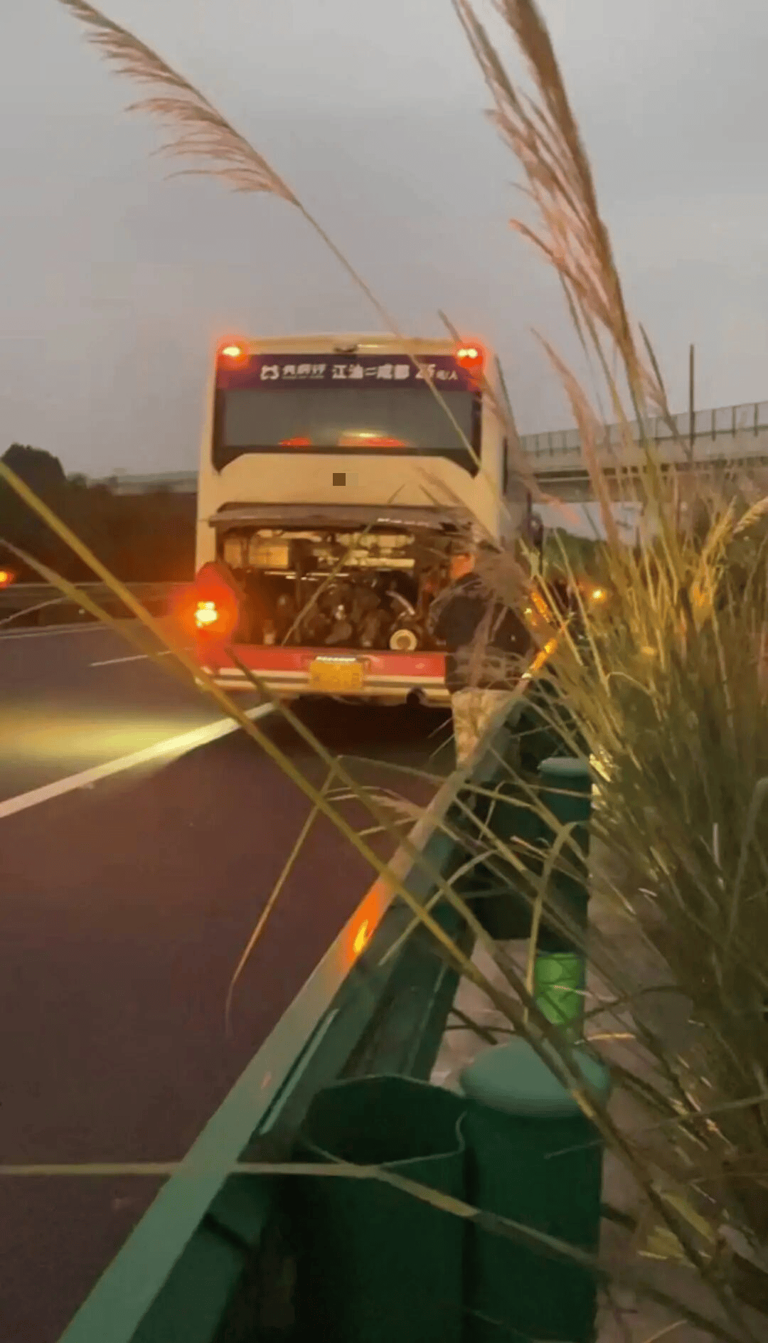 48名乘客被困高速2.5小时<strong></p>
<p>长安汽车股票</strong>!运营公司致歉