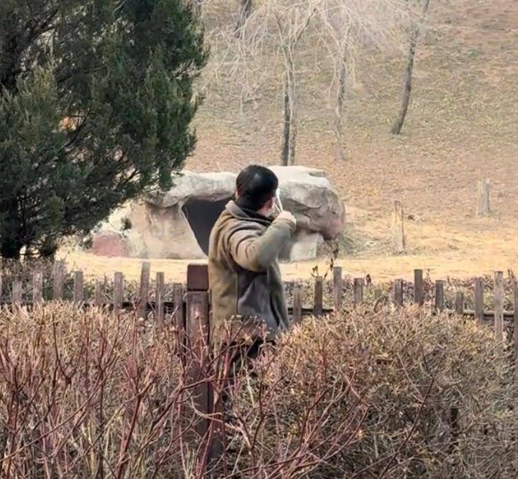 沈阳一男子动物园内用弹弓射老虎<strong></p>
<p>中国铁建股票</strong>，目击者称其“填装了弹丸”，打完后老虎爬起来了，园方：正在核实情况