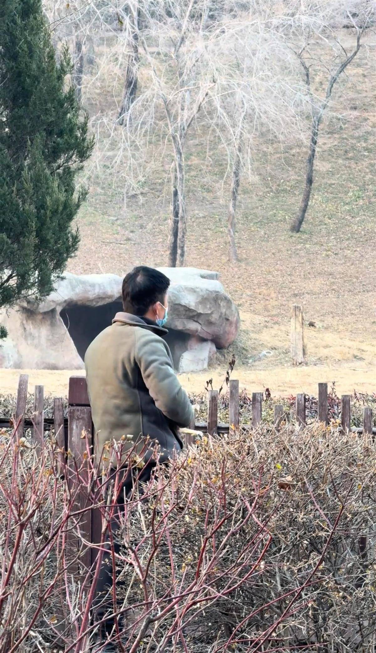 沈阳一男子动物园内用弹弓射老虎<strong></p>
<p>中国铁建股票</strong>，目击者称其“填装了弹丸”，打完后老虎爬起来了，园方：正在核实情况