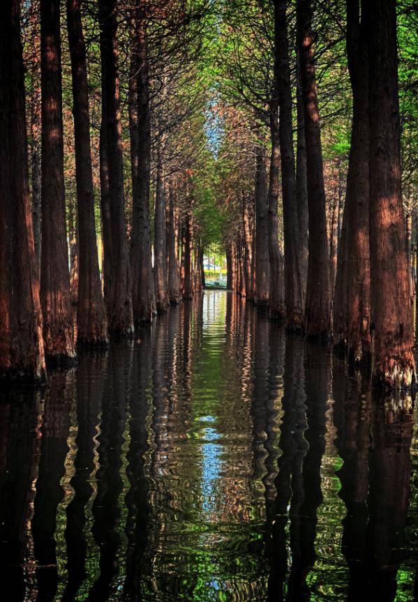 跟着赛事游昆明｜一路景观如画<strong></p>
<p>中国铁建股票</strong>！2025上合昆明马拉松路线图最新公布→