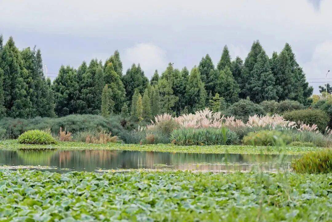 跟着赛事游昆明｜一路景观如画<strong></p>
<p>中国铁建股票</strong>！2025上合昆明马拉松路线图最新公布→