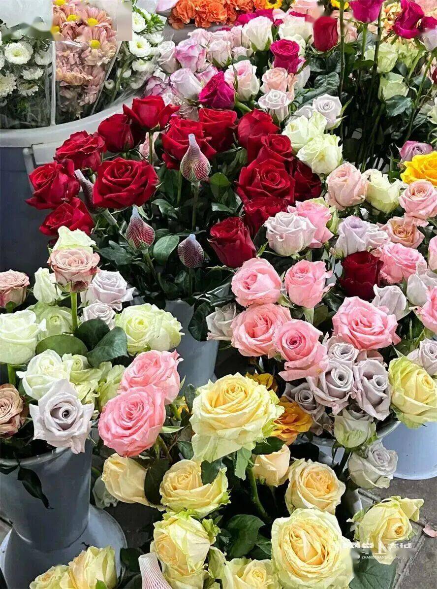 跟着赛事游昆明｜一路景观如画<strong></p>
<p>中国铁建股票</strong>！2025上合昆明马拉松路线图最新公布→