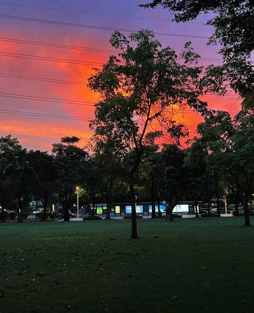 第一批丁克老后<strong></p>
<p>中国铁建股票</strong>,“伴侣能陪一程,但最后都要靠自己”