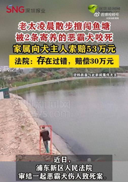 老太凌晨擅闯鱼塘被2条恶霸犬咬死<strong></p>
<p>中国铁建股票</strong>，家属索赔53万，法院判决！