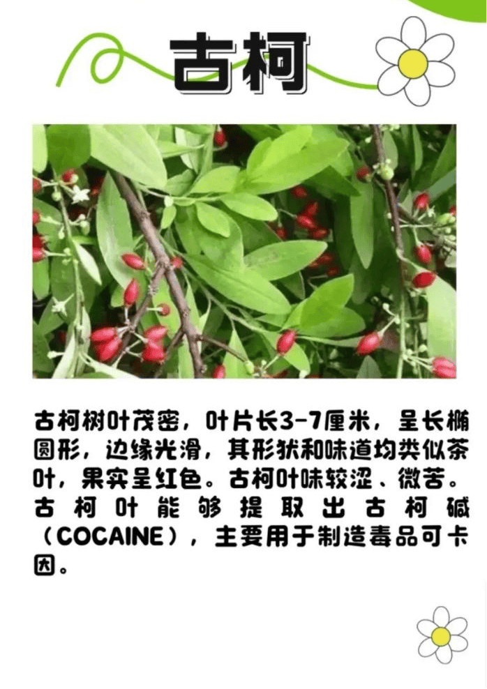 悬赏1500万美金！前奥运选手涉多起案件<strong></p>
<p>长虹股票</strong>，被列入十大通缉犯