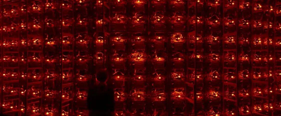 易烊千玺力撑票房但难抵上映口碑两极…《狂野时代》最大的“罪过”<strong></p>
<p>东北制药股票</strong>，是难懂吗？