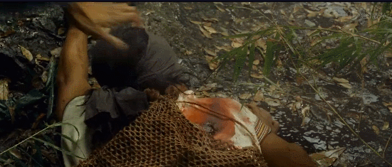 第一个扑向祁团长的印军黄种人面孔<strong></p>
<p>广晟有色股票</strong>，他到底是什么人？