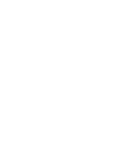 大雪隆冬至 梅香踏春来