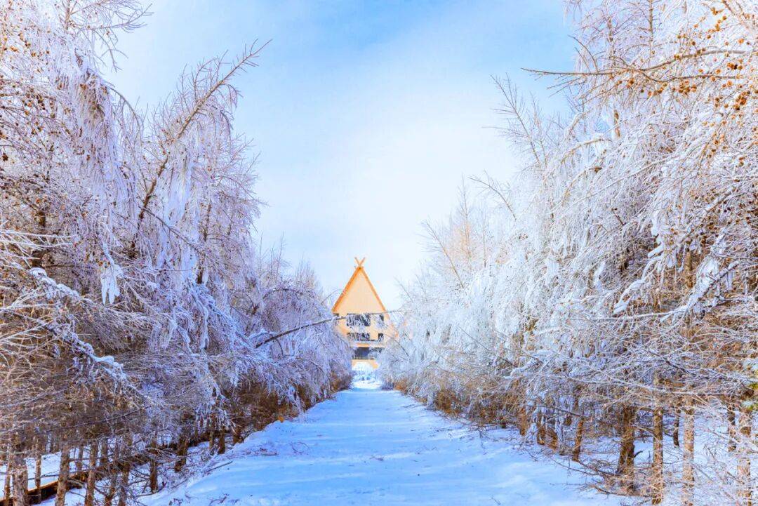 大雪隆冬至 梅香踏春来