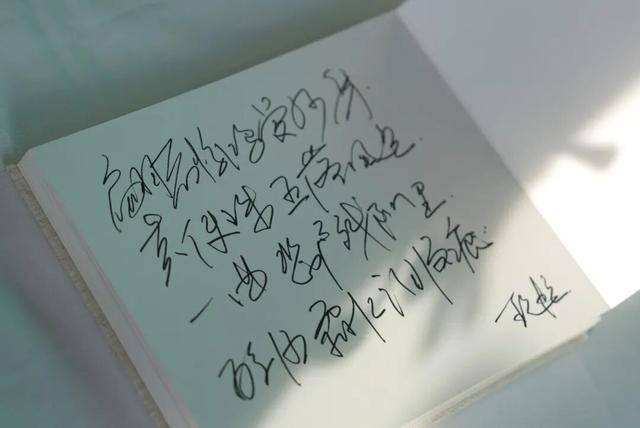 何晴之子追思：妈妈很喜欢雪<strong></p>
<p>东鹏饮料股票</strong>，北京这场雪好像是为她而下