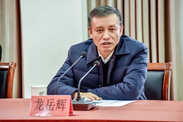 主动投案<strong></p>
<p>东鹏饮料股票</strong>,国家税务总局浙江省税务局原党委书记、副局长龙岳辉接受审查调查