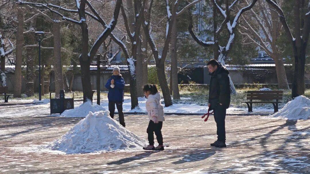 北京绿化带里用了二十年的板子<strong></p>
<p>东鹏饮料股票</strong>，今冬“下岗”了——