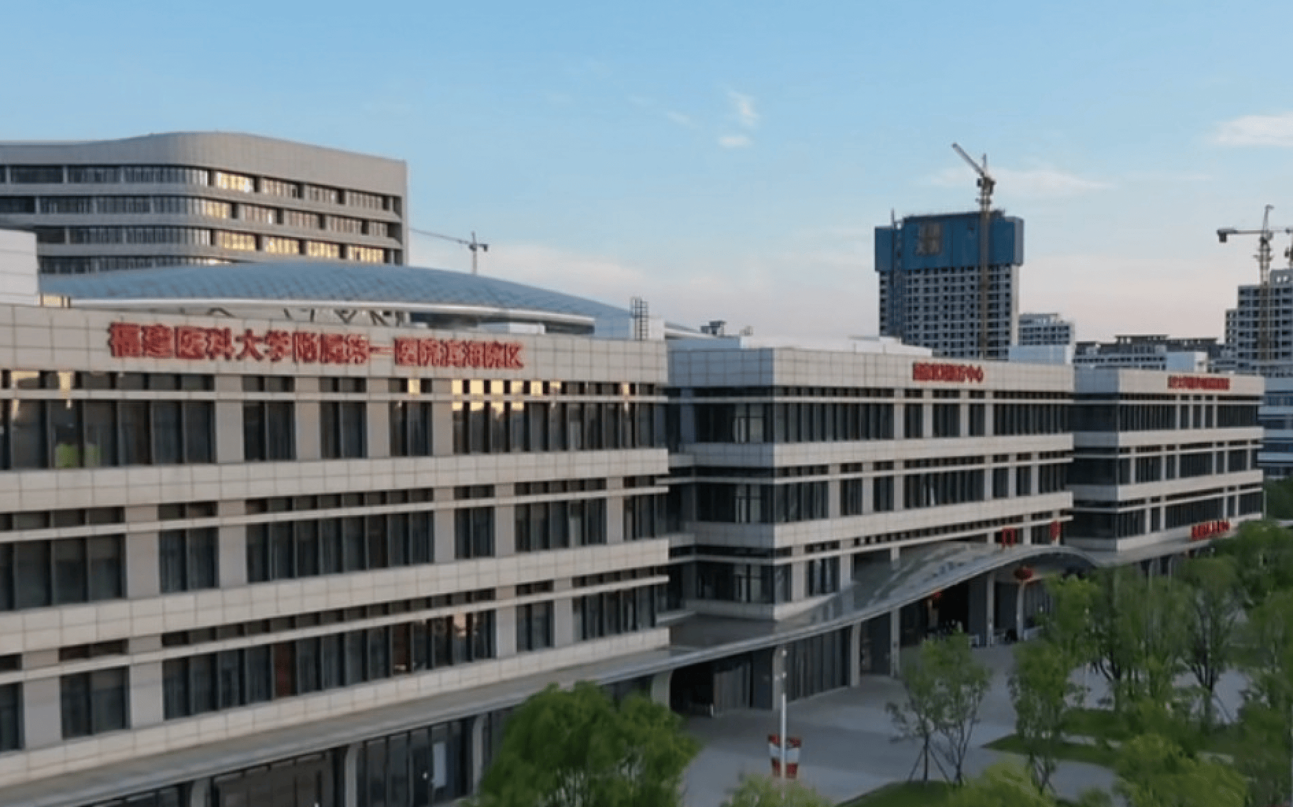 跑不过“调休难”:“最快女护士”张水华的争议与抉择