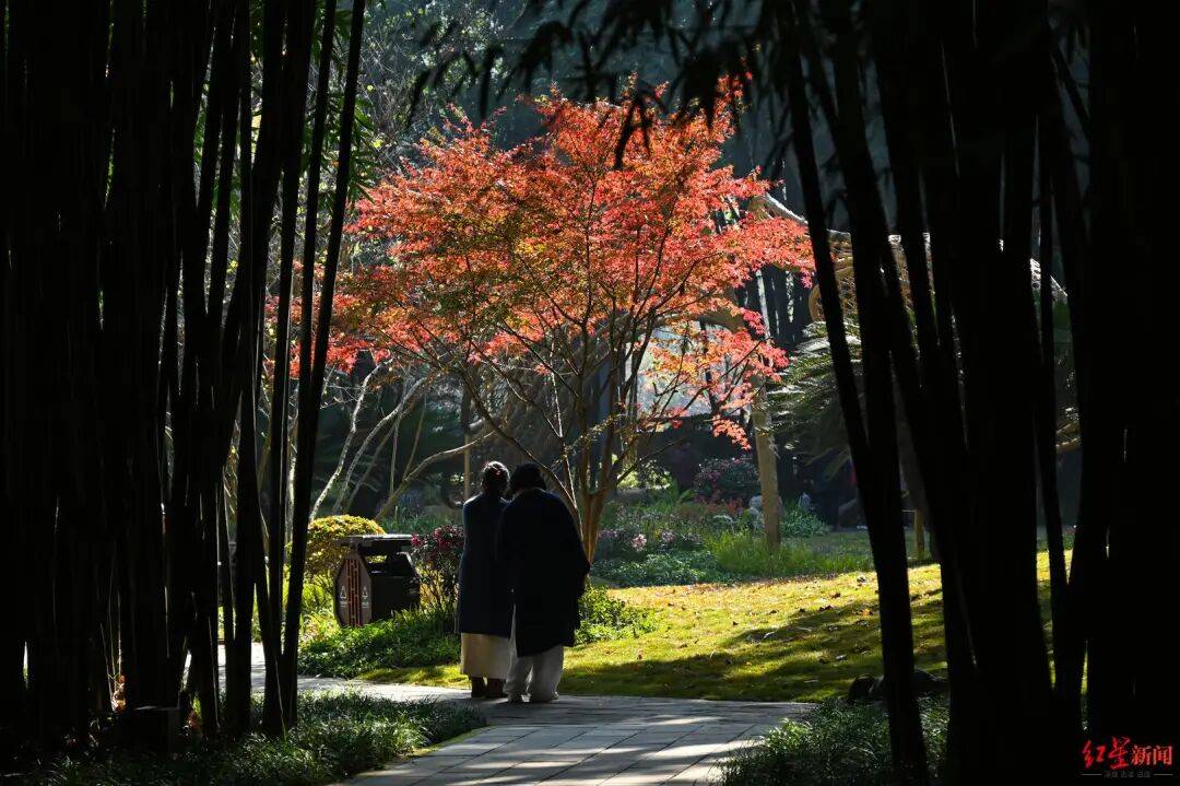 我国已进入拉尼娜状态<strong></p>
<p>浦发银行股票</strong>!四川今冬或“前暖后冷”