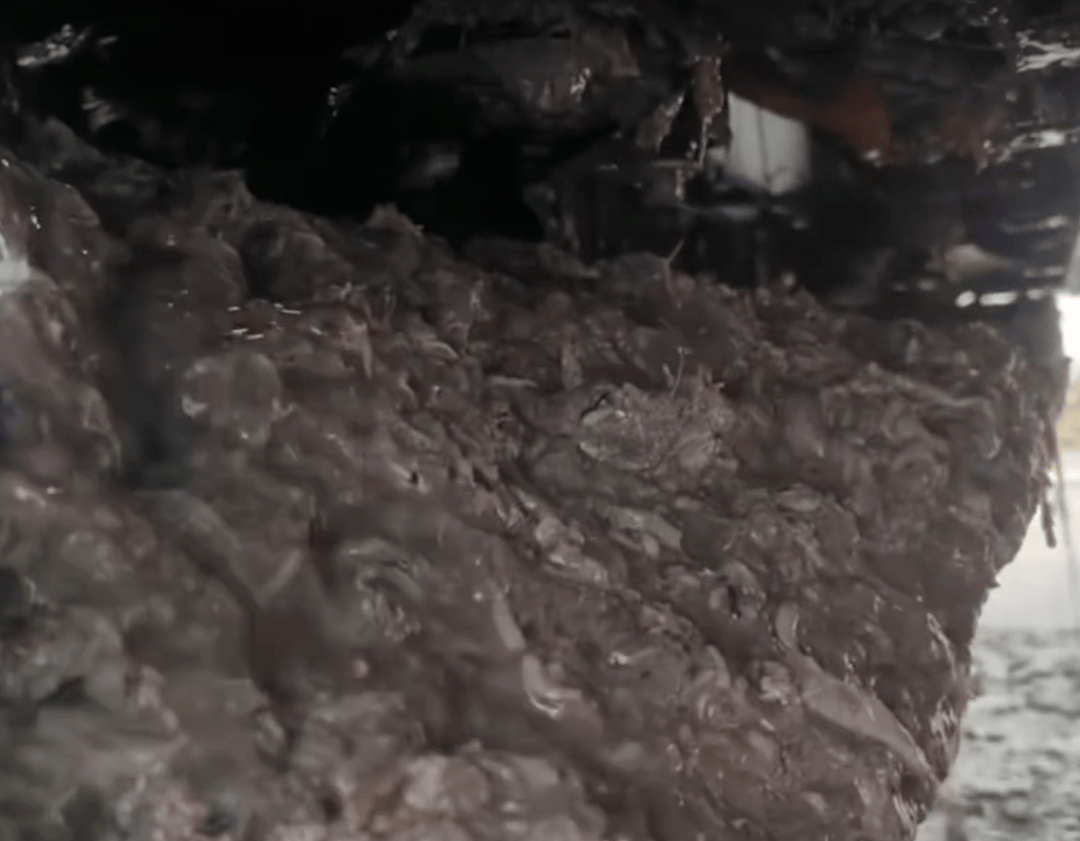 紫牛头条｜40余车辆遭高速海鲜废料“臭袭”<strong></p>
<p>光大银行股票</strong>，交警称“非交通事故”，车主维权陷两难