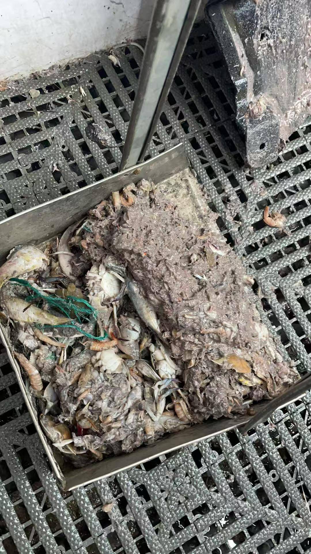 紫牛头条｜40余车辆遭高速海鲜废料“臭袭”<strong></p>
<p>光大银行股票</strong>，交警称“非交通事故”，车主维权陷两难