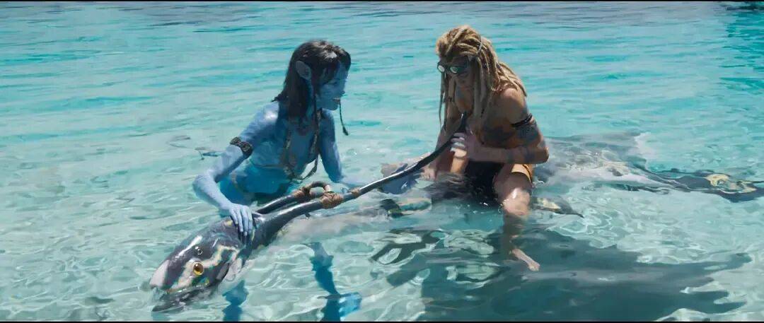 仿佛又看了一遍《阿凡达2》…票房口碑不及前作的《阿凡达3》真审美疲劳了吗<strong></p>
<p>青岛啤酒股票</strong>?