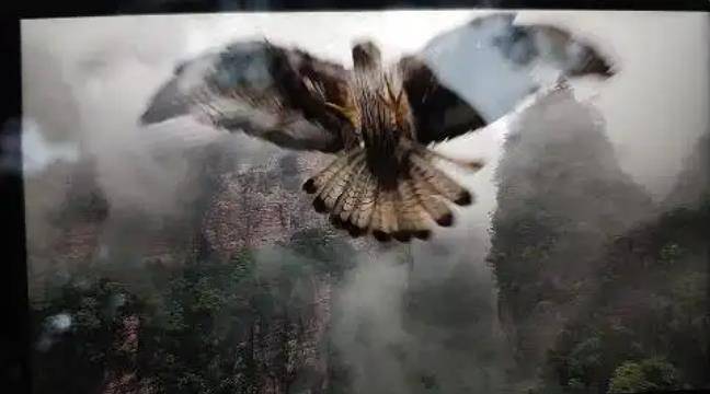 土耳其老鹰空中抓走无人机<strong></p>
<p>爱施德股票</strong>，带上山顶“玩自拍”