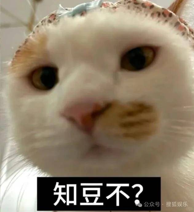 刚开年又曝一对相差15岁的恋情？他这一周两段绯闻真是连环暴击啊<strong></p>
<p>中天科技股票</strong>！