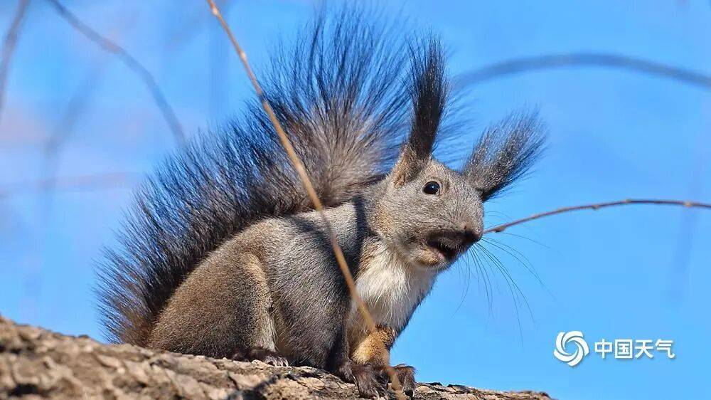 冷空气带来风寒体感