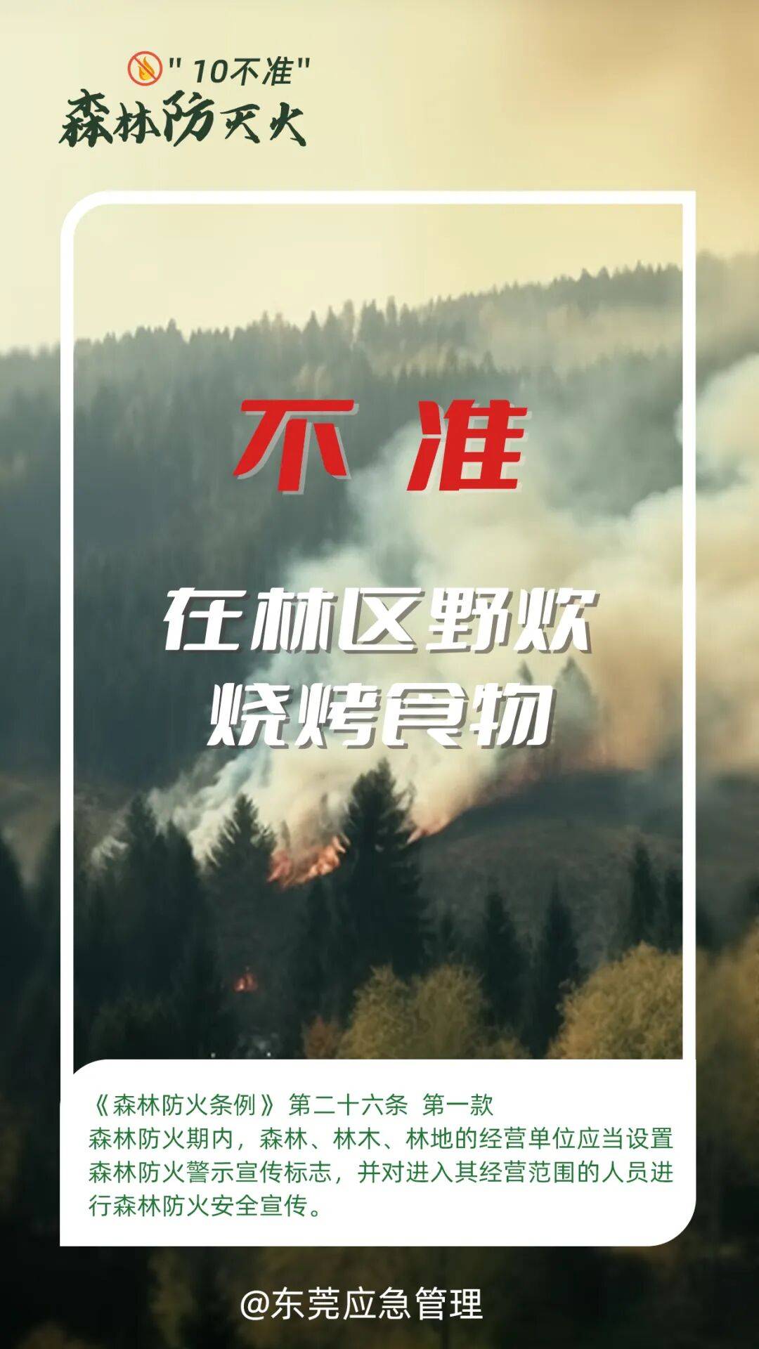 深圳坪山区突发山火<strong></p>
<p>中天科技股票</strong>，最新通报：明火已扑灭，无人员伤亡