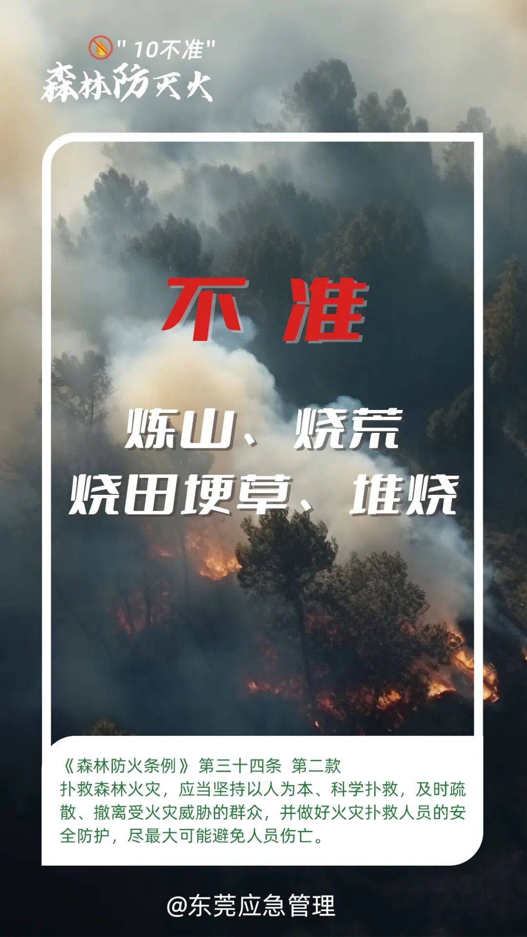 深圳坪山区突发山火<strong></p>
<p>中天科技股票</strong>，最新通报：明火已扑灭，无人员伤亡