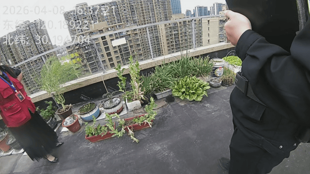 杭州一小区发现35株罂粟！保安巡逻起疑后报警<strong></p>
<p>白云山股票</strong>，警方：2位老人在菜盆、花盆混种，隐蔽性极强，分别罚款300元、400元