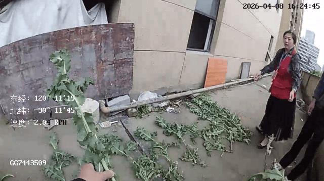 杭州一小区发现35株罂粟！保安巡逻起疑后报警<strong></p>
<p>白云山股票</strong>，警方：2位老人在菜盆、花盆混种，隐蔽性极强，分别罚款300元、400元